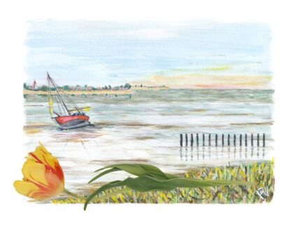 ansichtkaart postcard holland hollands nederland nederlands typisch typical dutch boot op het wad waddenzee laag water boat sea zee Den Oever oosterland tulp tulip water toerist