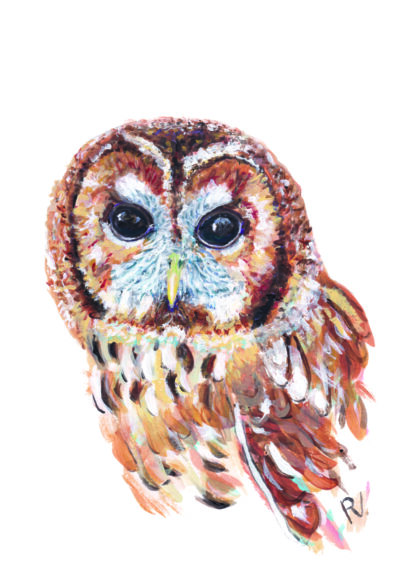ansichtkaart postcard beestenboel animals wild forest animal bosdieren bosdier bos bosuil tawny owl